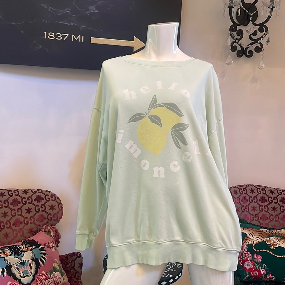 Women’s light, green, oversize sweatshirt by Wildfox